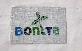 Bonita01